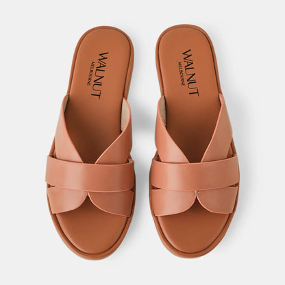 Walnut - Lola Slide Dusty Rose