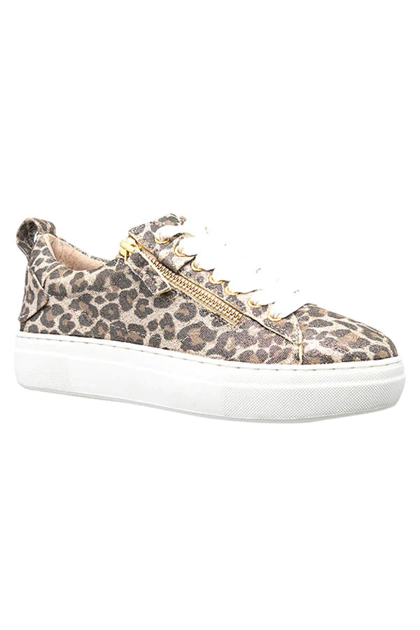 Alfie & Evie - Maize Champagne Leopard – Invogue Footwear