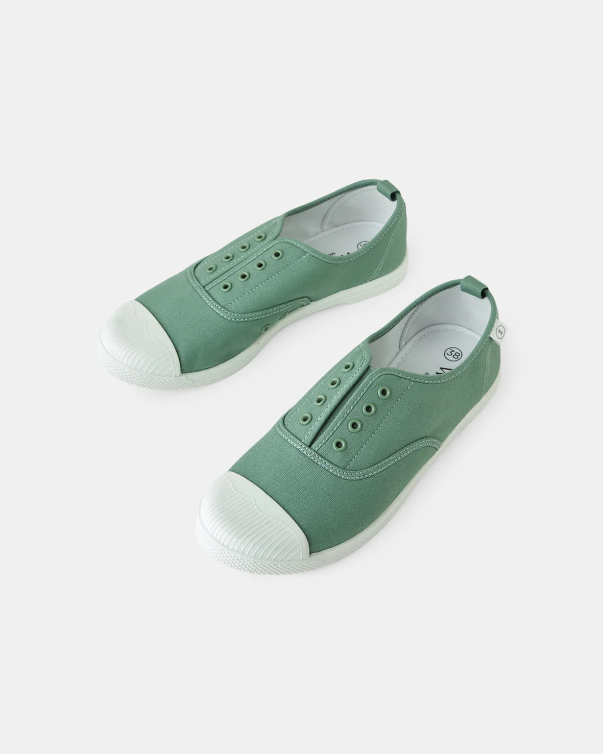 Walnut - Euro Canvas Plimsole Sage