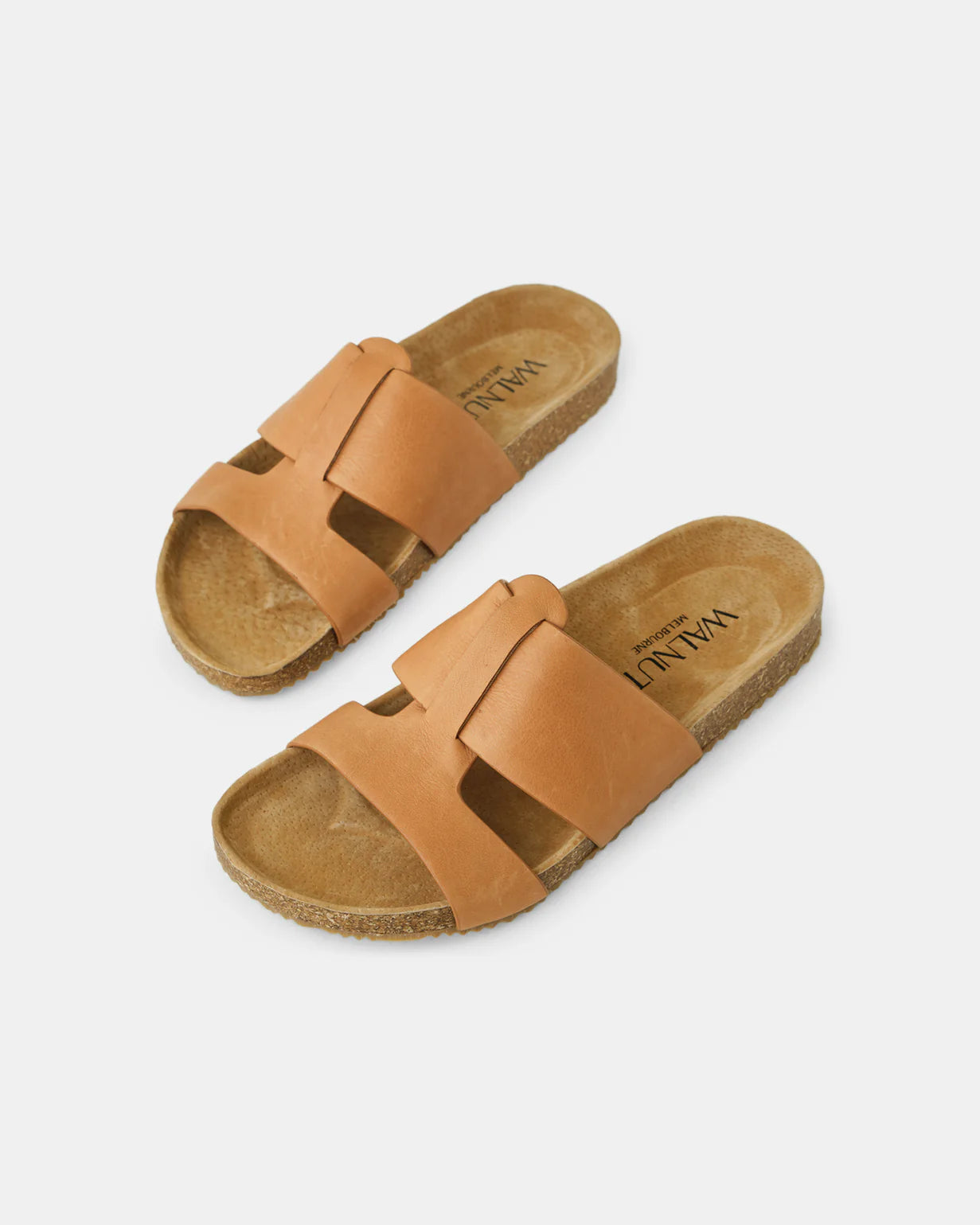 Walnut - Bay Coconut Tan